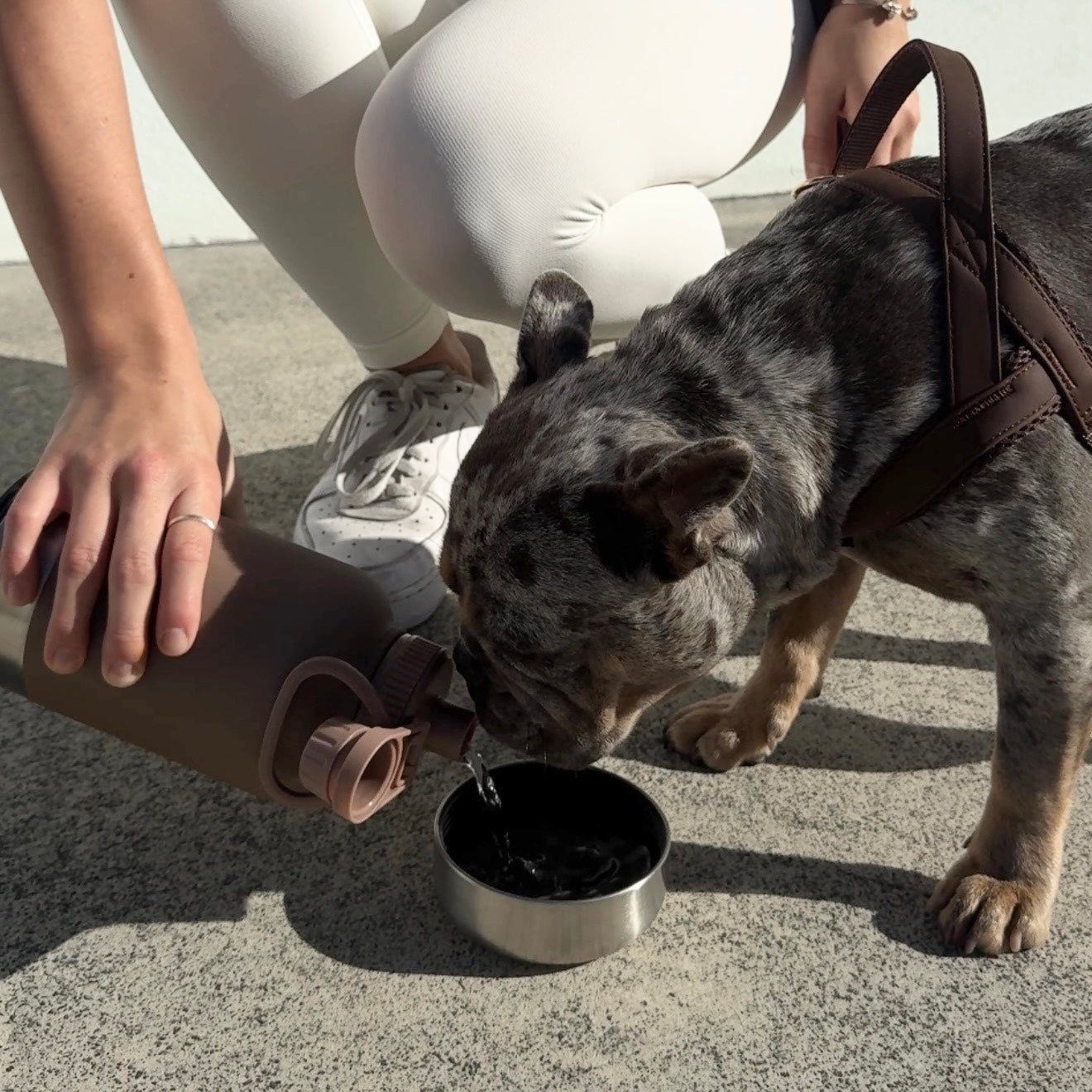 Travel Water Bottle